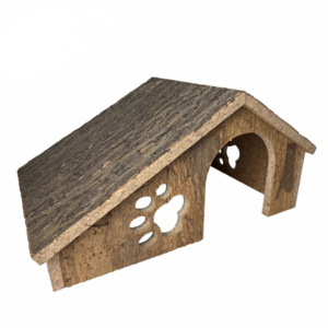 ficus decora cabernet