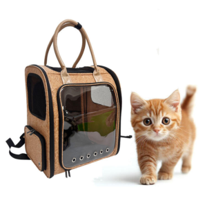 peperomia lemon lime