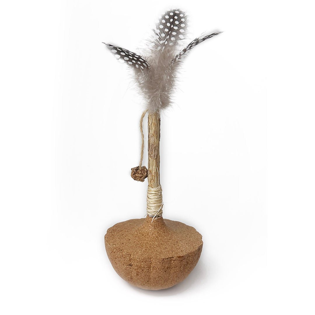 calathea beauty star