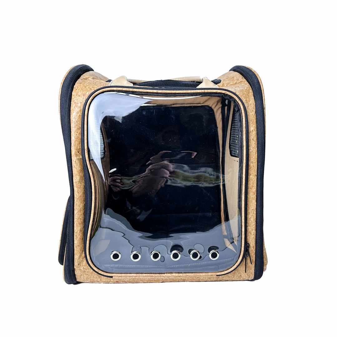 peperomia lemon lime peperomia lemon lime