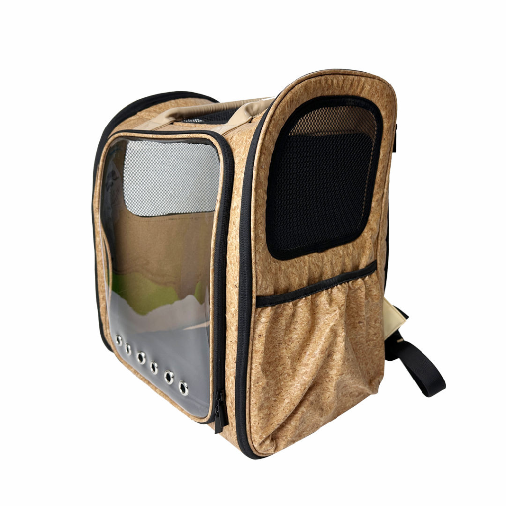 peperomia lemon lime