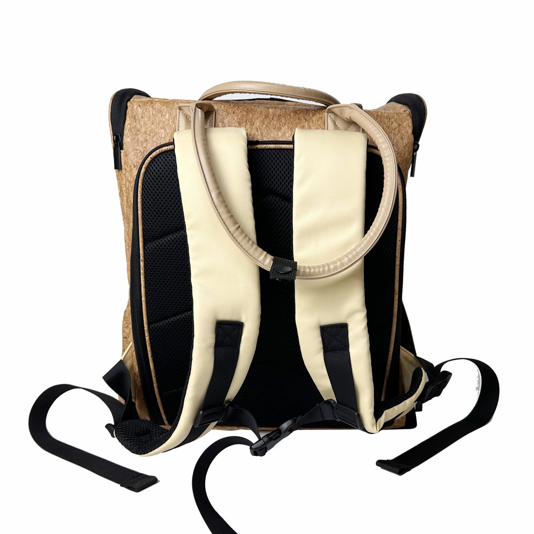 peperomia lemon lime