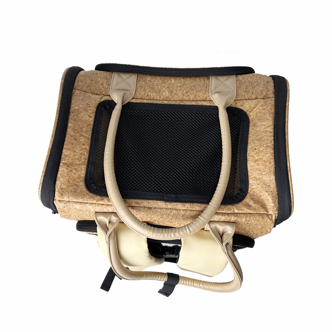 peperomia lemon lime