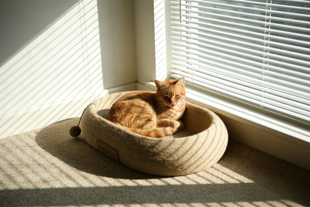 corkovia oval shaped cork tree nest