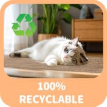 corkovia pasted cat scratching straight board