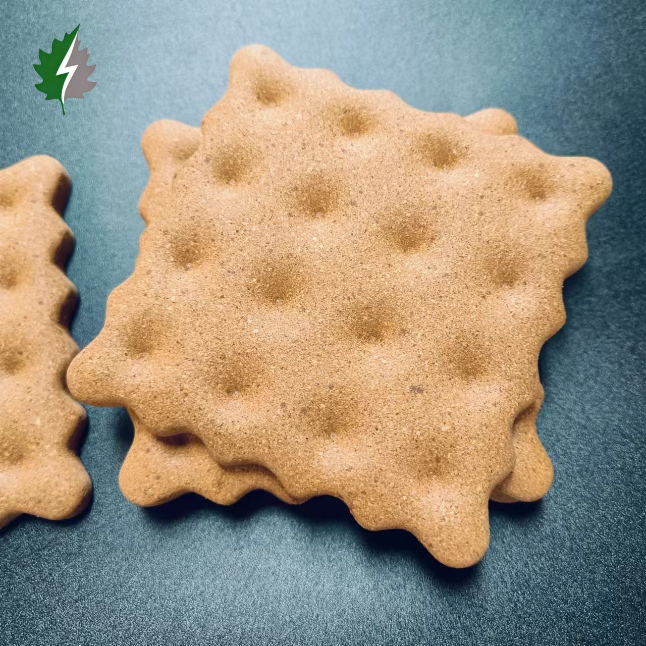 corkovia cookie shaped cork coasters