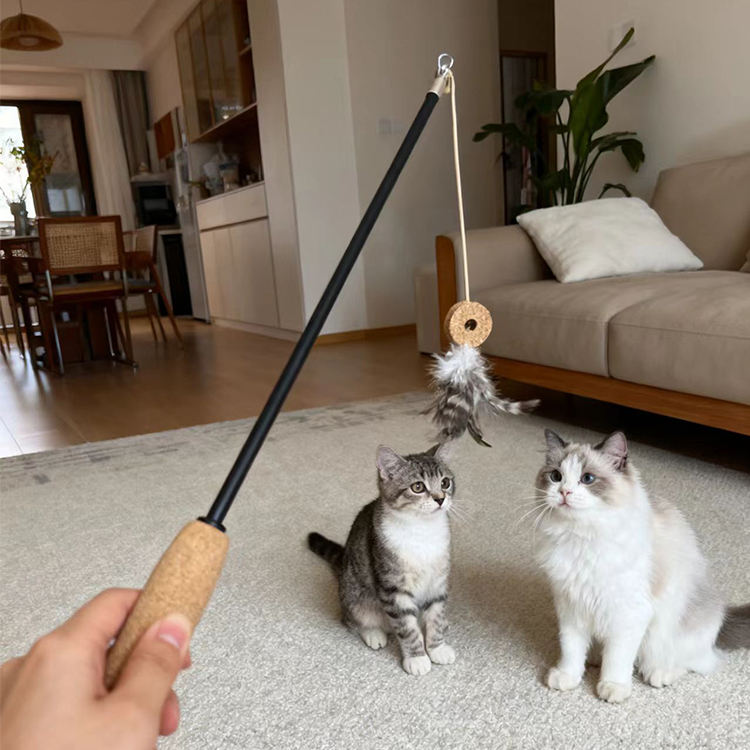 corkovia cat feather teaser