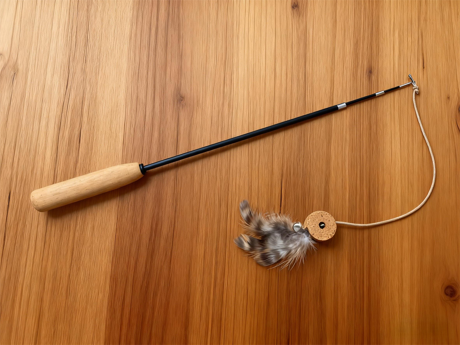 corkovia cat feather teaser